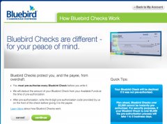 AMEX Bluebird-Free Checks and Check Writing