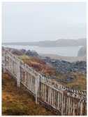 Cape Bonevista, Newfoundland