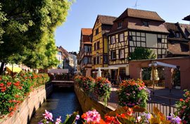 colmar alsace france flowers