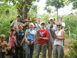 Enjoy the Costa Rican Jungle when Volunteering in Costa Rica!