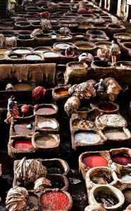 fez morocco tannery