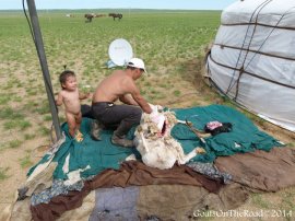 gobi desert people