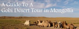 gobi desert tour