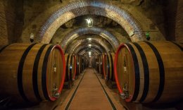 Montepulciano-Wine Cellar