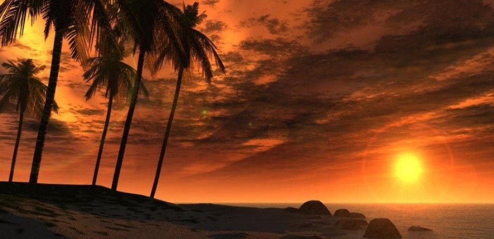 Travel and Auto expenses