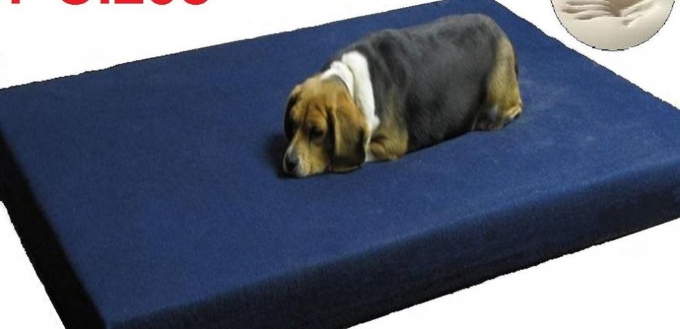 Travel Dog Beds for large dogs