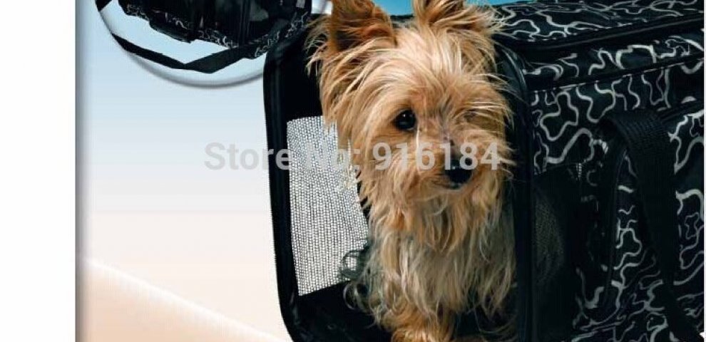 Travel Dog Pen