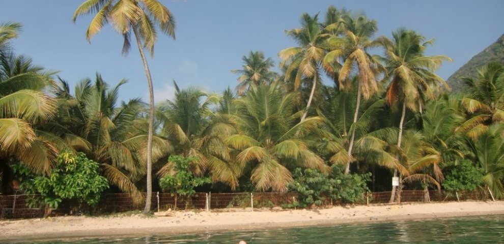 What is an Independent Travel agent?