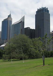 sydney city view
