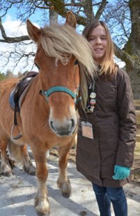 The cuteness of Scottish Highland Ponies cannot be overstated.