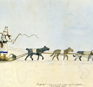 One Traveling by dogsled