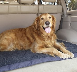 Travel Dog Beds
