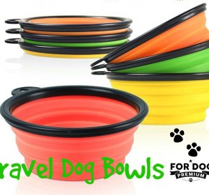 Travel Dog Bowls