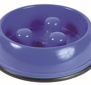 Travel Dog water Bowls