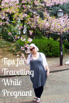 Tips for Travelling While Pregnant