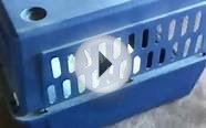 Dog Pet Crate petporter petmate large