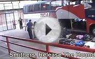 Drug Sniffing Dogs,Tica Bus Terminal, San Jose Costa Rica