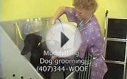 Muddy Dog groomers