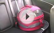 Pet Safety Lady with Dog/Cat Car Seat