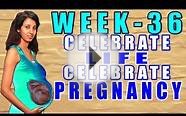 #Pregnancy Information Week 36 #CLCP