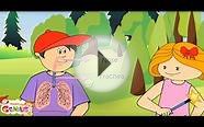 Respiratory System for Kids (Breathing) by