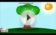 Seed Dispersal Methods and Types Video for Kids