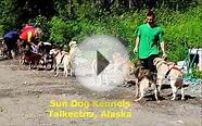 Sun Dog Kennels - Sled Dog Excursion - Talkeetna, Alaska