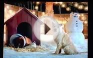 travelers holiday dog commercial