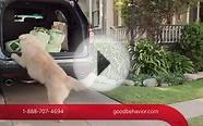 Travelers Insurance - Good Job (Dog Commercial)