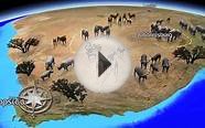 Vasco da Gama 7 travel route animation: Demonstration of