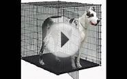 X Large Dog Kennel