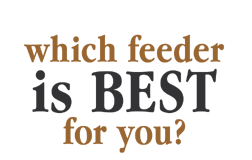 Which Feeder is Best for You?