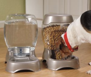 Which Feeder is Best For You?