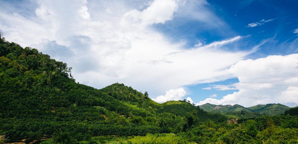 Travel Asia 5 months
