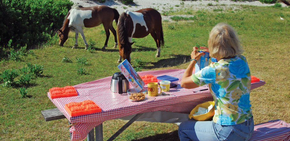 Travel Assateague Island