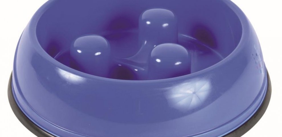Travel Dog water Bowls