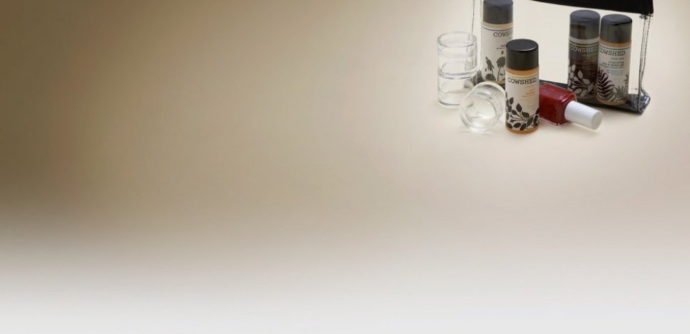 Travel Fluid restrictions
