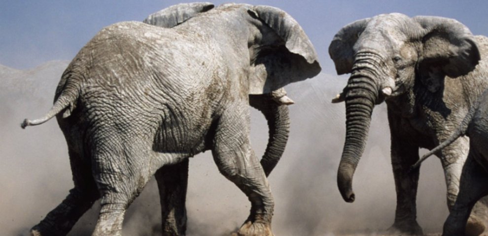 Travel Tips for Germany