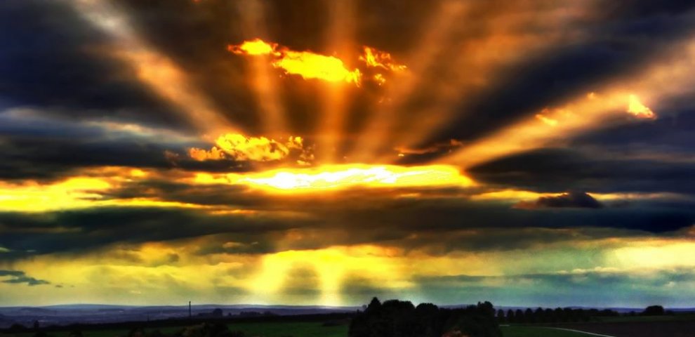 Travelers Rest Tribune