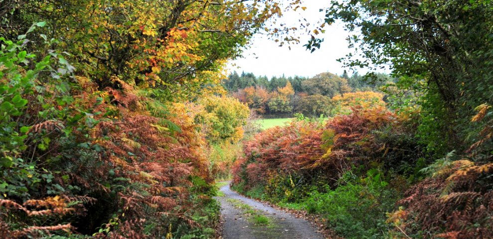 Traveling Europe in September