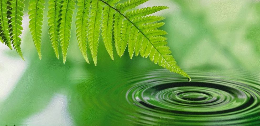 Travellers or Travelers